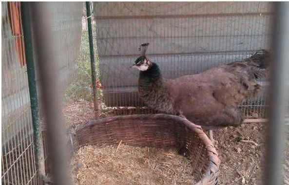 6650e2d291abeada7a6414e6226ed054.jpg 6650e2d291abeada7a6414e6226ed054.jpg